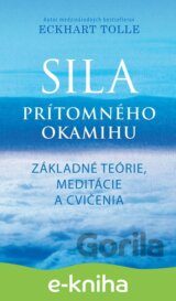 Sila prítomného okamihu - Cvičenia