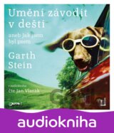 Umění závodit v dešti