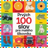 Prvých 100 slov pre malého šikovníka