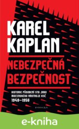 Nebezpečná bezpečnost