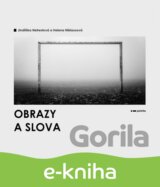 Obrazy a slova