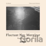 Fluctuat Nec Mergitur