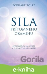 Sila prítomného okamihu