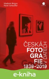 Česká fotografie v datech