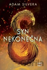 Syn nekonečna