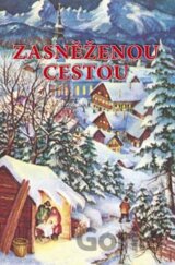Zasněženou cestou