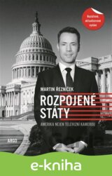 Rozpojené státy