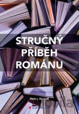 Stručný příběh románu