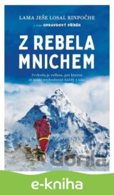 Z rebela mnichem