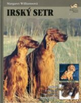 Irský setr