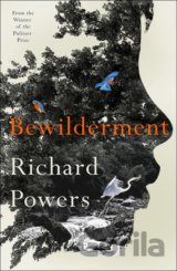 Bewilderment