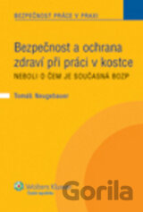 Bezpečnost a ochrana zdraví při práci v kostce