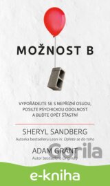 Možnost B