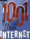 1001 tipů a triků pro Internet - 3. doplněné a opravené vydání - David Morkes, Jan Vořech, Computer Press
