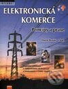 Elektronická komerce - Principy a praxe - David Kosiur, Computer Press