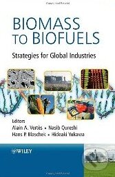 Biomass to Biofuels - Alain A. Wertes, Wiley-Blackwell
