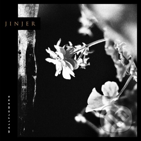 Jinjer: Wallflowers LP - Jinjer, Hudobné albumy, 2021