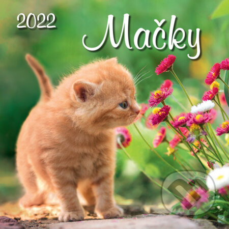 Nástenný kalendár Mačky 2022, Spektrum grafik, 2021