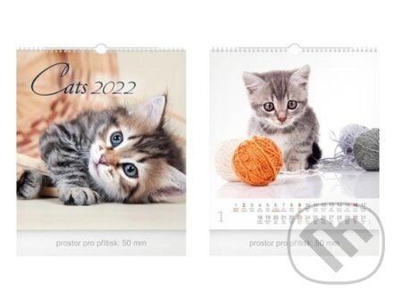 Cats 2022 - nástěnný kalendář malý, MFP, 2021