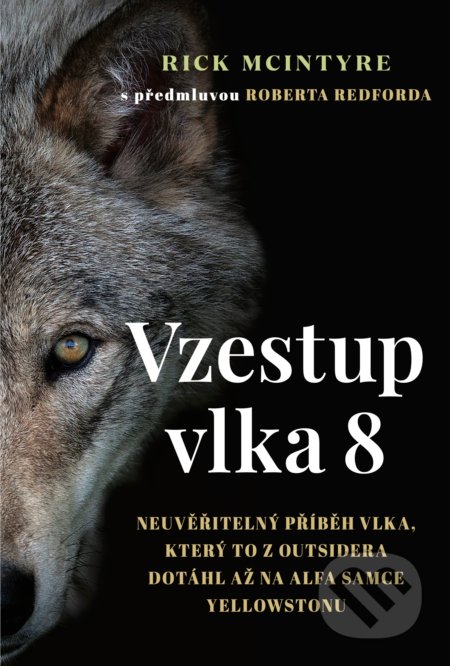 Vzestup vlka 8 (s předmluvou Roberta Redforda - Neuvěřitelný příběh vlka, který to z outsidera dotáhl až na alfa samce Yellowstonu) - kniha z…