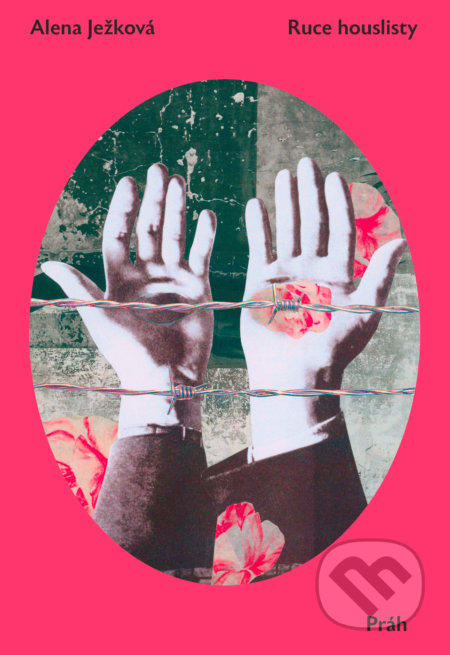 Ruce houslisty - Alena Ježková, Michaela Kukovičová (ilustrátor) - kniha z kategorie Společenská beletrie