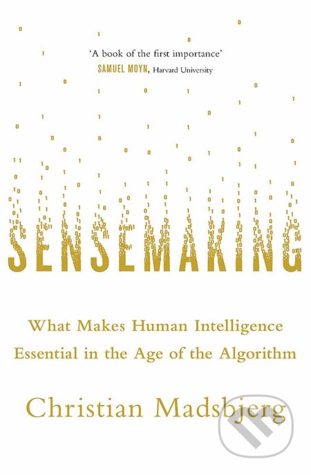 Sensemaking - Christian Madsbjerg, Abacus, 2019