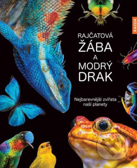 Rajčatová žába a modrý drak - Andrea Köhrsen, Nakladatelství KAZDA, 2021