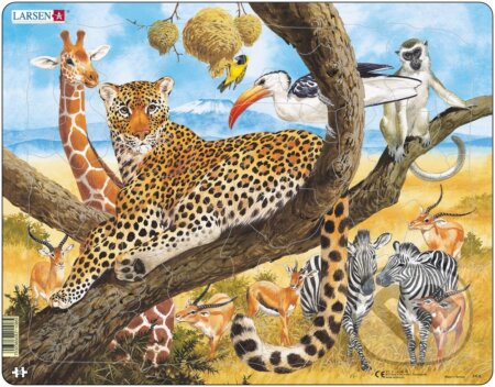 Africká savana (FH8) - puzzle z kategorie Naučné puzzle