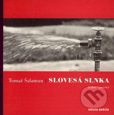 Slovesá Slnka - Tomaž Šalamun, Drewo a srd, 2002