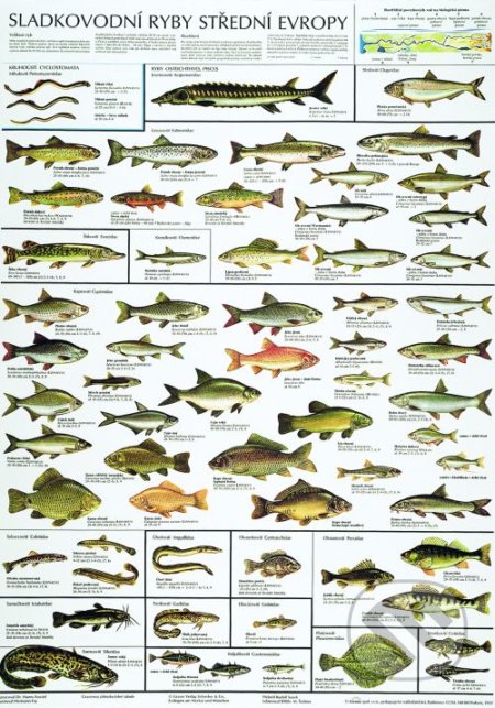Sladkovodní ryby střední Evropy, Scientia, 2006