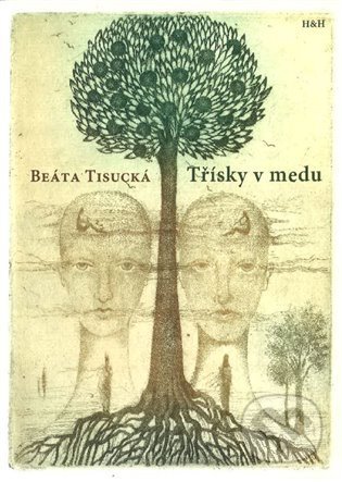 Třísky v medu - Beáta Tisucká, Olga Vychodilová (Ilustrátor), H+H, 2021