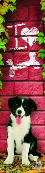 3D záložka - I love bones