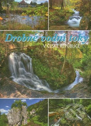 Drobné vodní toky v České republice, Consult, 2021