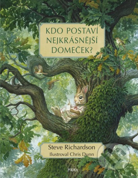 Kdo postaví nejkrásnější domeček? - Steve Richardson, Chris Dunn (ilustrátor) - kniha z kategorie Beletrie pro děti