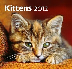 Kittens 2012 - Nástěnný kalendář, Helma, 2011