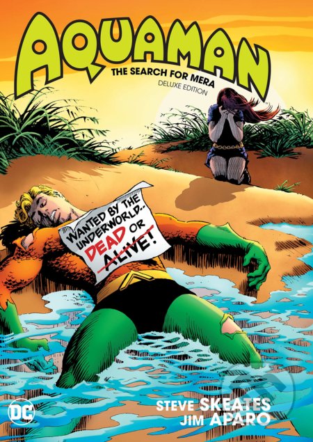 Aquaman: The Search for Mera - Steve Skeates, DC Comics, 2018