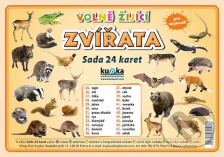 Sada 24 karet - zvířata (volně žijící) A5 - Petr Kupka, Kupka, 2018