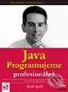 Java - programujeme profesionálně - Brett Spell, Computer Press, 2002