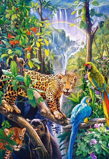 Castorland CSC104383 - Puzzle vari Castorland CSC104383 - Puzzle vari
