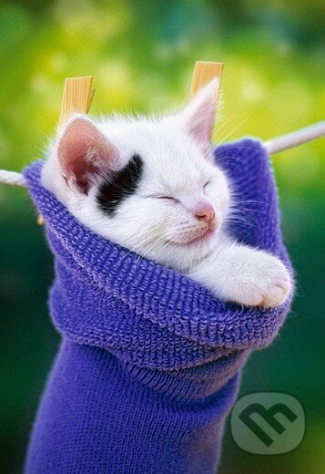 Kitten in a Sock, Castorland