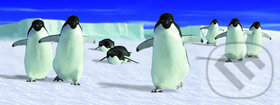Záložka Úžaska: Pochodující tučňáci, ABC Develop, 2012