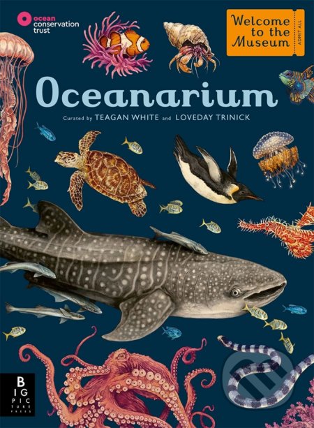 Oceanarium - Loveday Trinick, Teagan White (Ilustrátor), Templar, 2021