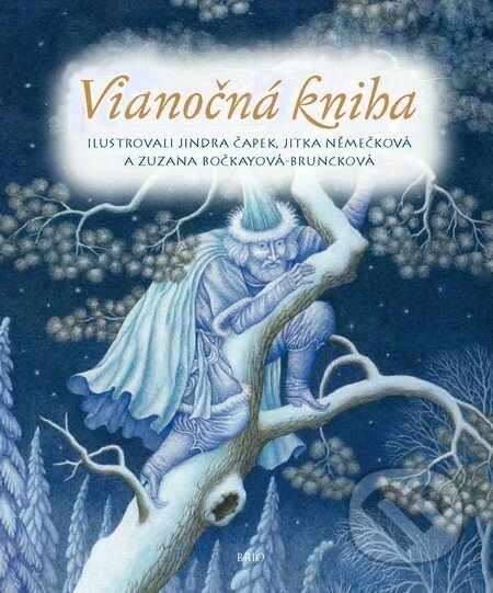 Vianočná kniha - Kolektív autorov, Slovart, 2012