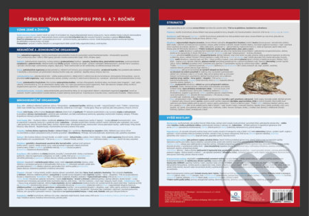 Přírodopis - Přehled učiva 6. - 7. ročník (Přehledová tabulka učiva) - kniha z kategorie 2. stupeň