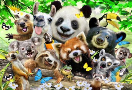 Medvědí ráj 2v1, dřevěné