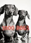 Kniha: 1000 Dogs (Raymond Merritt). Taschen, 2003