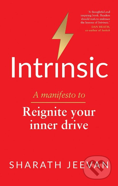 Intrinsic (A Manifesto to Reignite Your Inner Drive) - kniha z kategorie Motivace a seberozvoj