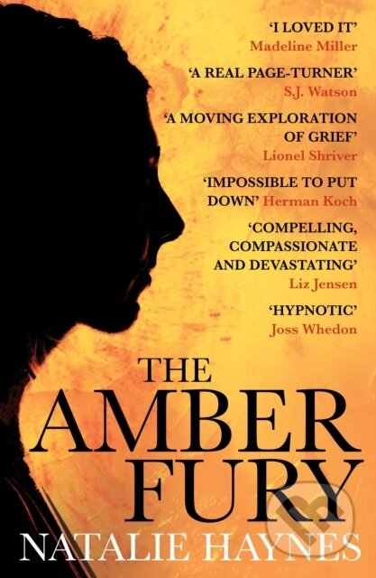 E-kniha: The Amber Fury (Natalie Haynes). Atlantic Books, 2014