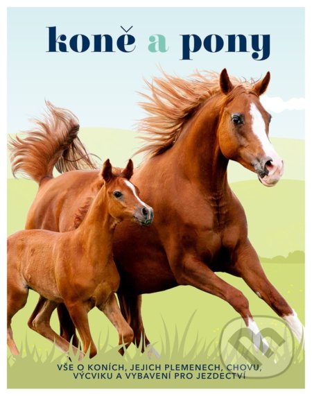 Koně a pony - Caroline Stamps, Slovart CZ, 2022