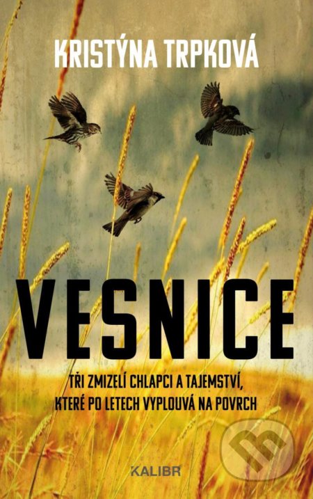 Vesnice (Tři zmizelí chlapci a tajemství, které po letech vyplouvá na povrch) - kniha z kategorie Detektivky, thrillery a horory